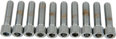 DRAG SPECIALTIES 1/4-20 X 1" Smooth Socket Head MPB181S