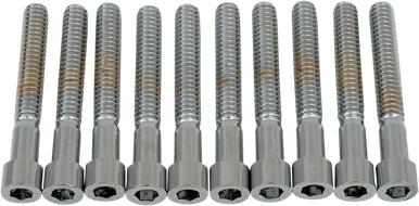 DRAG SPECIALTIES 1/4-20 X 1 3/4" Smooth Socket Head MPB184S