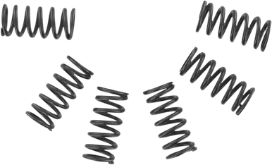 EBC Clutch Springs CSK2