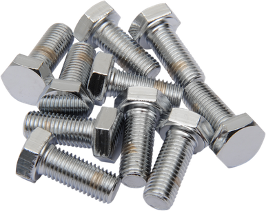 DRAG SPECIALTIES 5/16-24 X 3/4 Chrome Hex Head MPB147