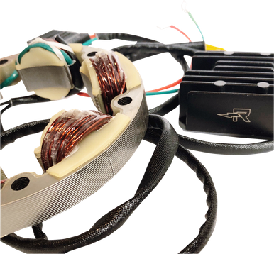 RICK'S MOTORSPORT ELECTRIC Lithium-ion Compatible Charging Kit - Honda 14-99-101