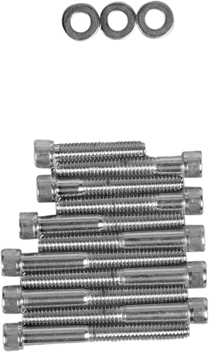 DRAG SPECIALTIES Camshaft Cover Bolt Set - XL MK249