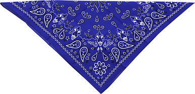 ZAN HEADGEAR Paisley Cotton Bandana - Navy B002