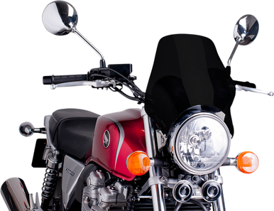 PUIG HI-TECH PARTS Naked Windshield - Black - ER5 0869N