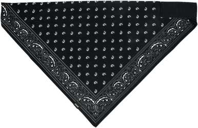 ZAN HEADGEAR SportFlex‚Â Bandana - Black Paisley BL101