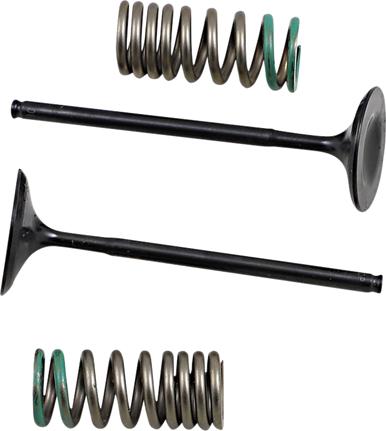 PROX Intake Valve and Spring Kit 28.SIS1340-2
