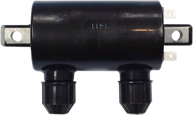 RICK'S MOTORSPORT ELECTRIC Ignition Coil - Honda 23-101