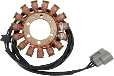 RICK'S MOTORSPORT ELECTRIC Stator - Ducati 21-032