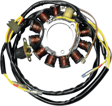 RICK'S MOTORSPORT ELECTRIC Stator 21-552