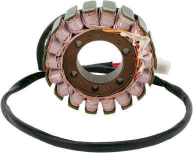 RICK'S MOTORSPORT ELECTRIC Stator - Ducati 21-010