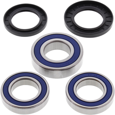 ALL BALLS Wheel Bearing Kit - Rear 25-1039