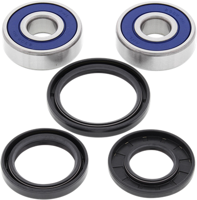 ALL BALLS Wheel Bearing Kit - Front 25-1310