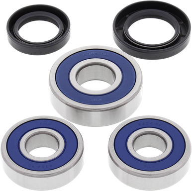ALL BALLS Wheel Bearing Kit - Rear 25-1355