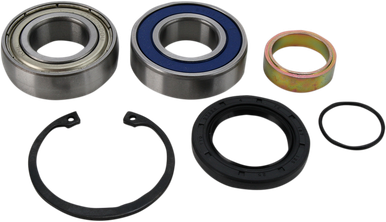 ALL BALLS Chain Case Bearing and Seal Kit 14-1005