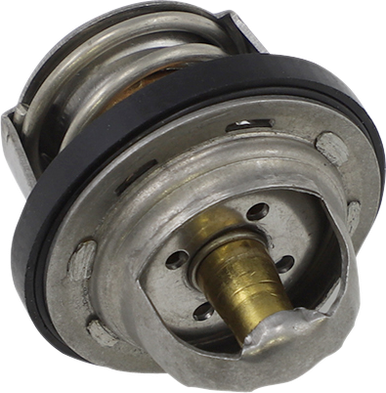 ALL BALLS Thermostat - Polaris 16-3002