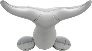 AIRHEAD SPORTS GROUP Dolphin Riding Tube - Towable AHHD-3056