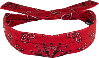 ZAN HEADGEAR Polyester Cooldanna‚Â - Red Paisley DP106