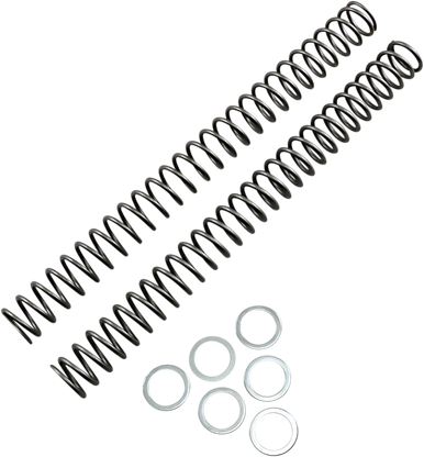 RACE TECH Fork Springs - 0.46 kg/mm FRSP 444746