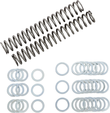 RACE TECH Fork Springs - 1.10 kg/mm FRSP S3825110