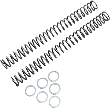 RACE TECH Fork Springs - 0.46 kg/mm FRSP 444546