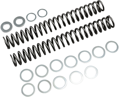RACE TECH Fork Springs - 1.20 kg/mm FRSP S4031120