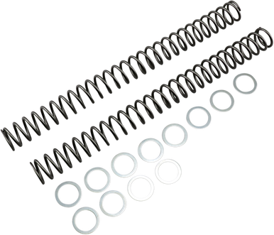 RACE TECH Fork Springs - 0.46 kg/mm FRSP 414646