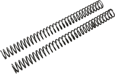 RACE TECH Fork Springs - 0.42 kg/mm FRSP 434942