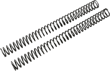 RACE TECH Fork Springs - 0.46 kg/mm FRSP 434946