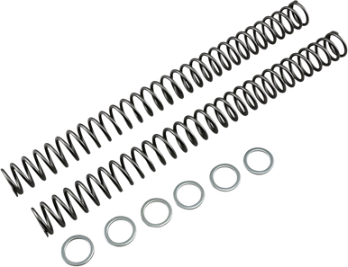 RACE TECH Fork Springs - 0.46 kg/mm FRSP 435146