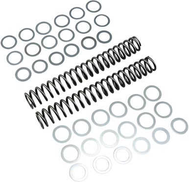 RACE TECH Fork Springs - 1.00 kg/mm FRSP S3827100