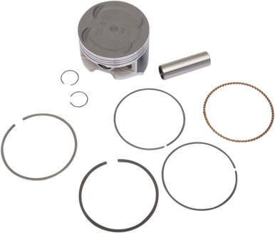 WSM Piston Kit 50-219-07K