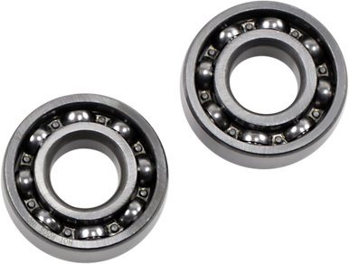 HOT RODS Counter Balancer Bearing Kit - Polaris HR00011