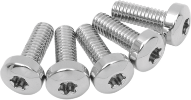 COLONY Rear Torx Rotor - '92-'17 ST/FLT 9807-10
