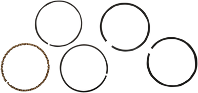 Hastings HASTINGS Piston Rings 2M5721