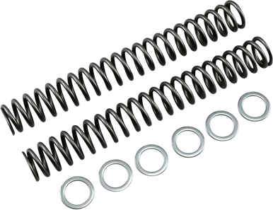 RACE TECH Fork Springs - 1.00 kg/mm FRSP S4031100