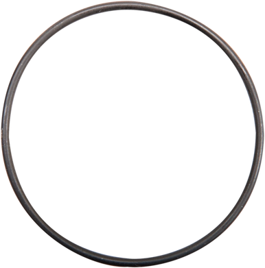 Jims Cam Cover Small O-Ring 1993-1999 Harley-Davidson FLSTC FLSTF FLSTN FLSTS FXD FXDL FXDWG FXSTC FXSTS FXSTSB 2170