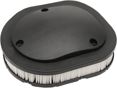 DRAG SPECIALTIES Air Filter - Indian E14-0999