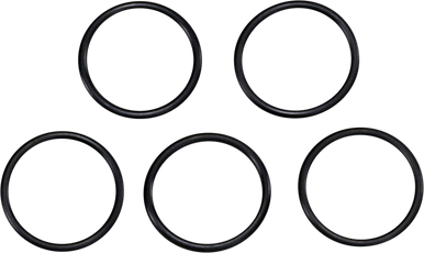 JAMES GASKET Oil Pump Valve O-Ring 10971