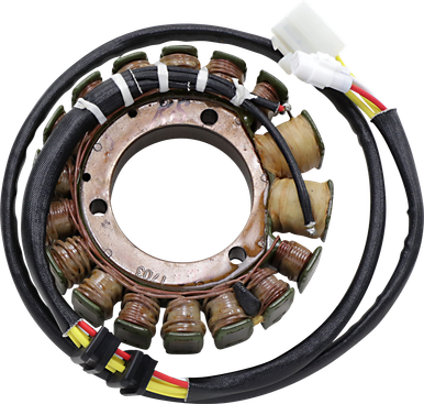 RICK'S MOTORSPORT ELECTRIC Stator - Kawasaki 21-727