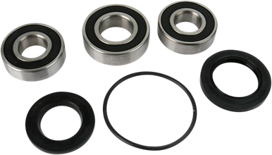 PIVOT WORKS Wheel Bearing Kit - Rear PWRWS-K14-000