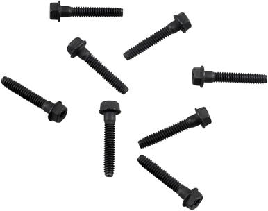 Comet 108 4-Pro Snowmobile Cover Plate Bolt Kit 217099A