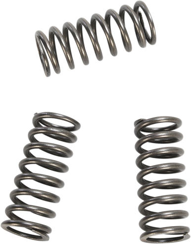 EBC Clutch Springs CSK218