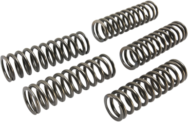EBC Clutch Springs CSK223