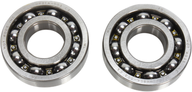 HOT RODS Counter Balancer Bearing Kit BBK0020