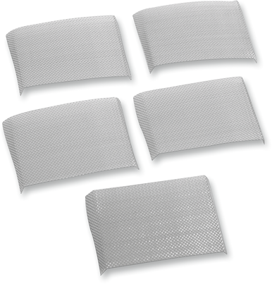 EASTERN MOTORCYCLE PARTS Screen Separator Plate A-25275-36
