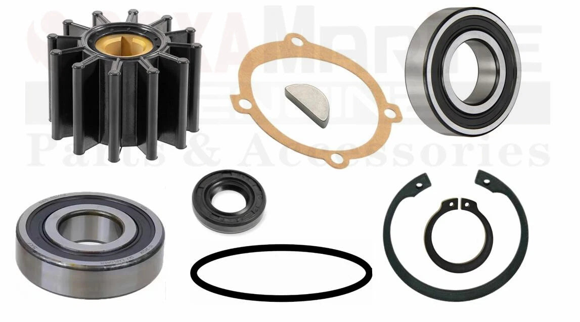 Impeller Service Kit for Sherwood Pump (10615, P102, P105, P109, P110)