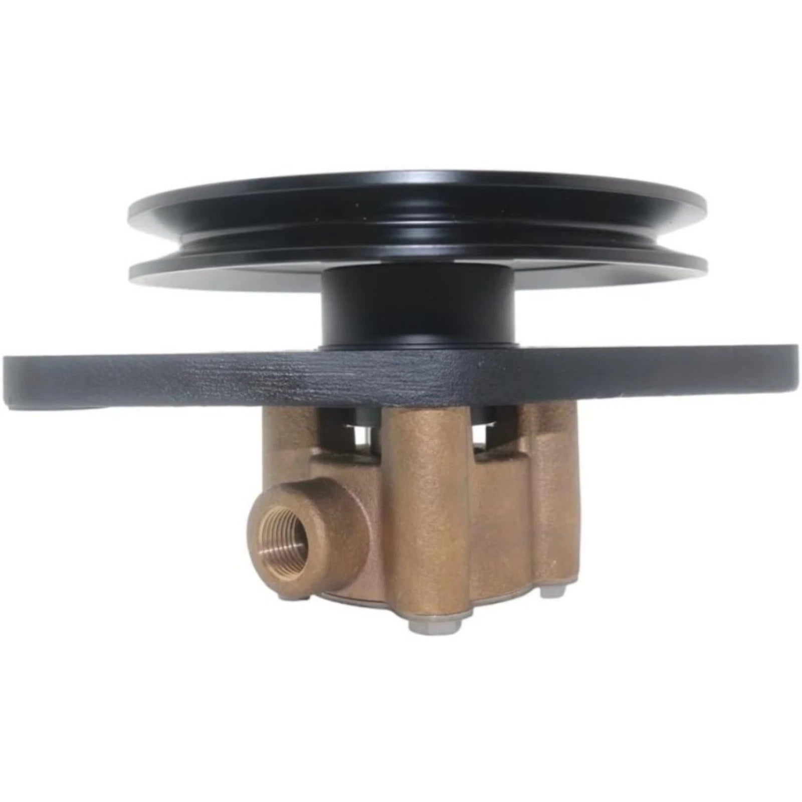 Raw Sea Water Pump for Cummins Onan Engine (132-0395, Sherwood G8002, GP8002)
